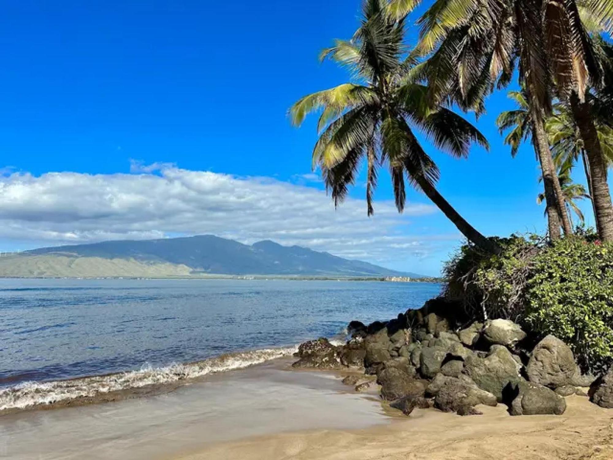 Cozy Maui Studio Retreat Just Steps To The Sand! Kihei Exterior photo